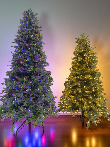 Christmas Trees