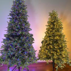 Christmas Trees