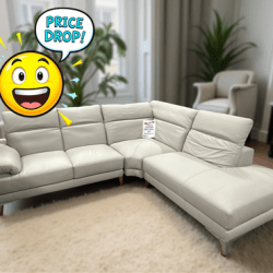Italian Leather Sectional