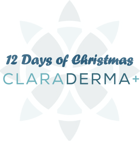 12 Days of Christmas - Wrinkle Free Wonderland