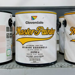 Paint - PRICES AS MARKED