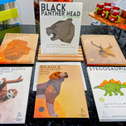 3D  Paper model kit ($20 each or 2 for $30)