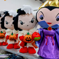 Fall & Halloween Decor