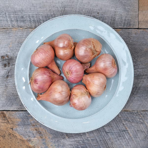 Shallots