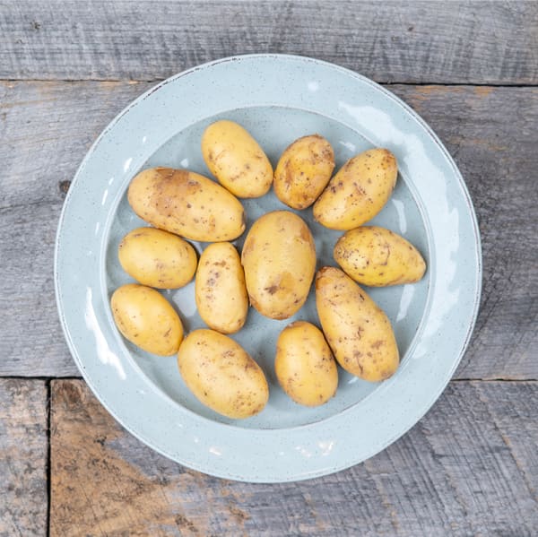 Yellow Fingerling Potatoes