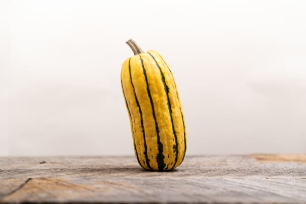 Delicata Squash