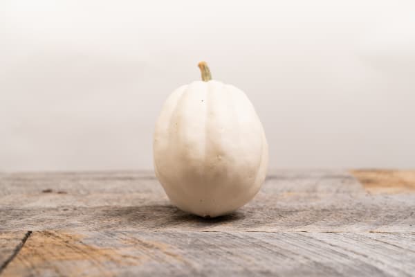 White Acorn Squash