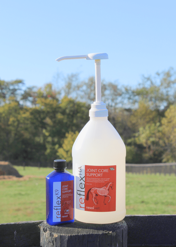 Horse & Hound Bundle <span>(Reflex & Reflex K9)</span>