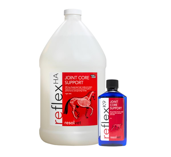 Horse & Hound Bundle <span>(Reflex & Reflex K9)</span>