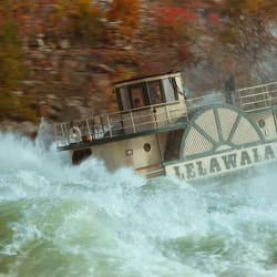 Niagara Video