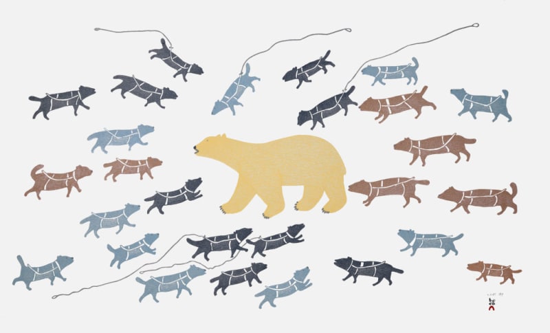 Polar Bear In Camp
