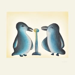 Song Birds
