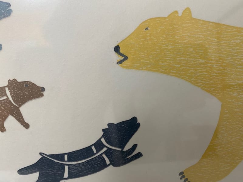 Polar Bear In Camp