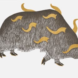 Horned Muskox