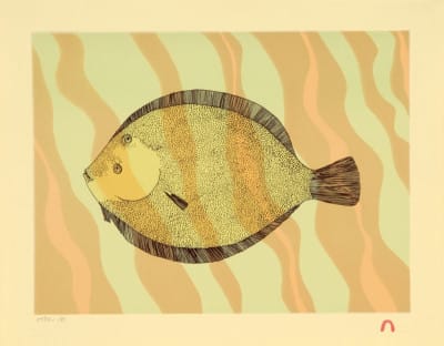 Halibut