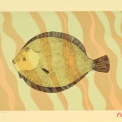 Halibut
