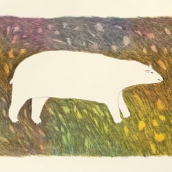 Tundra Bear