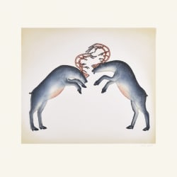 Rutting Caribou