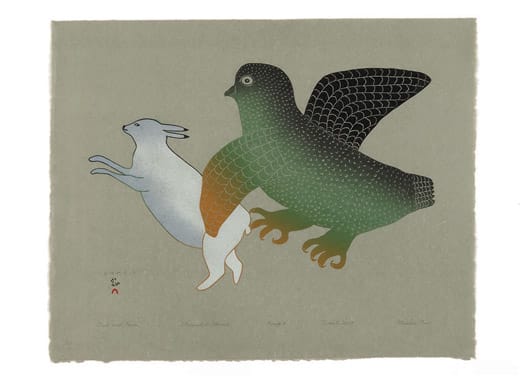 Owl And Hare