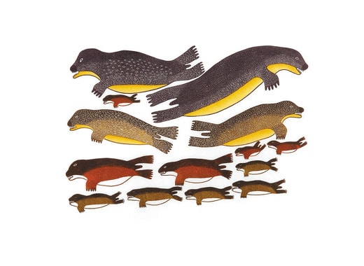 Colony of Seals