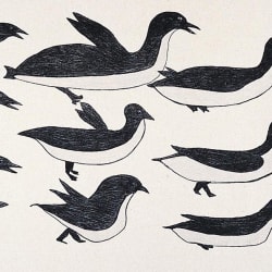 Flock of Birds