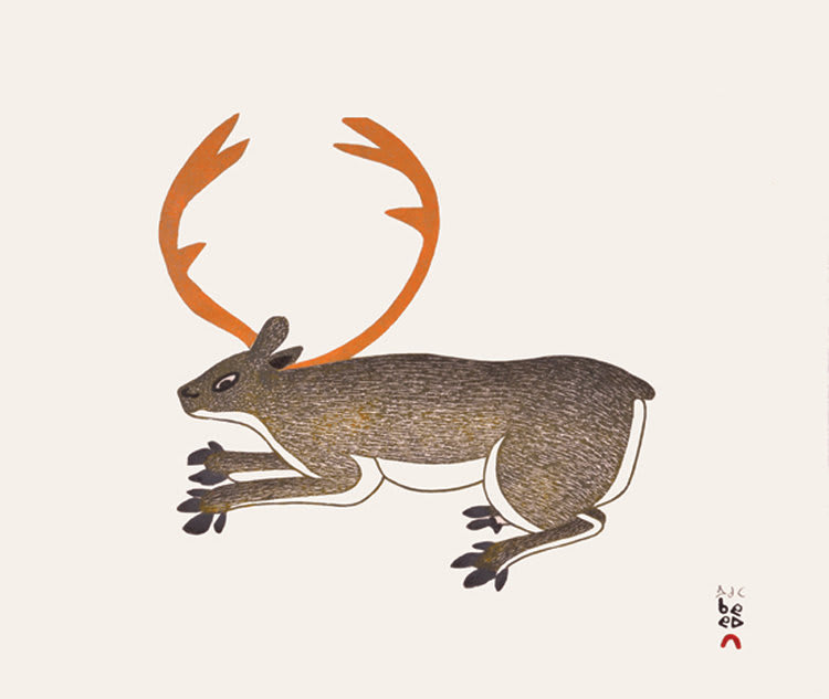 Hidden Caribou