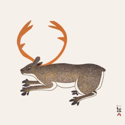 Hidden Caribou