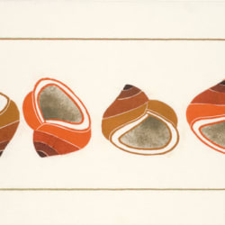 Siupiru (Shells)