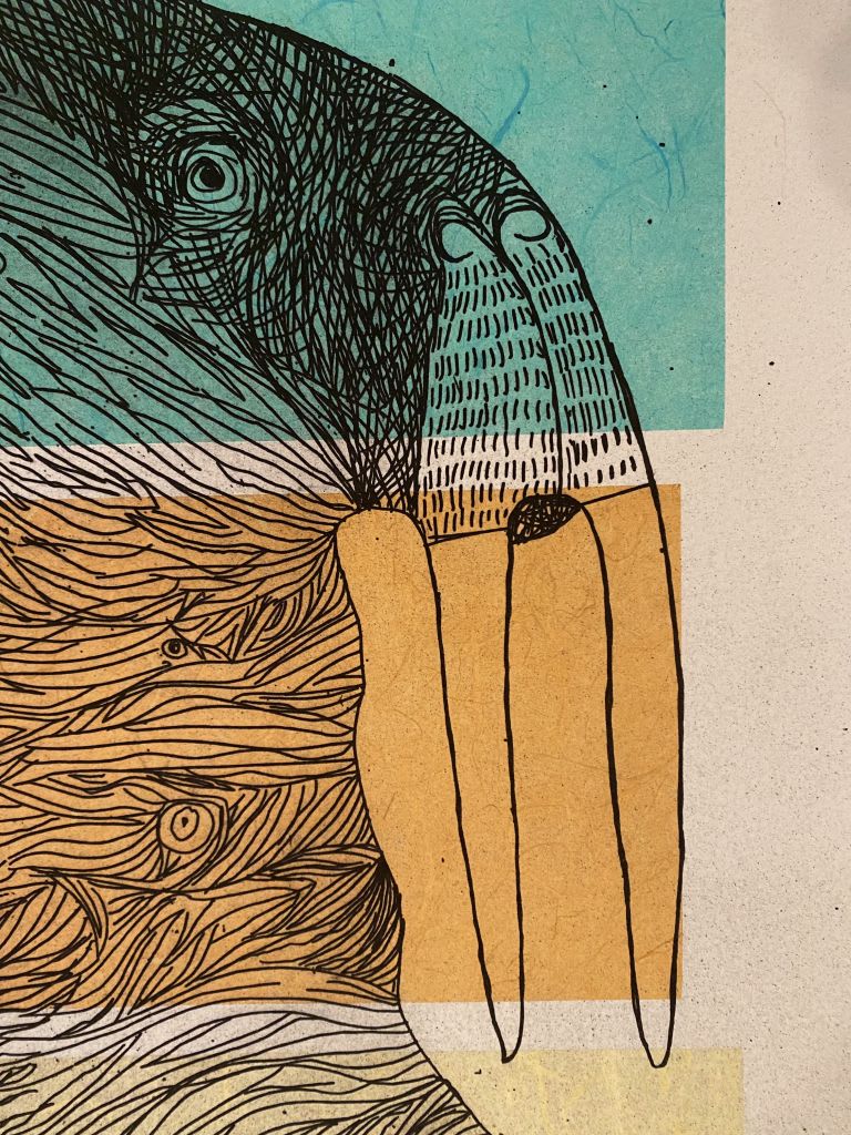Ancestral Walrus