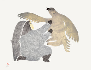 Illusive Bird