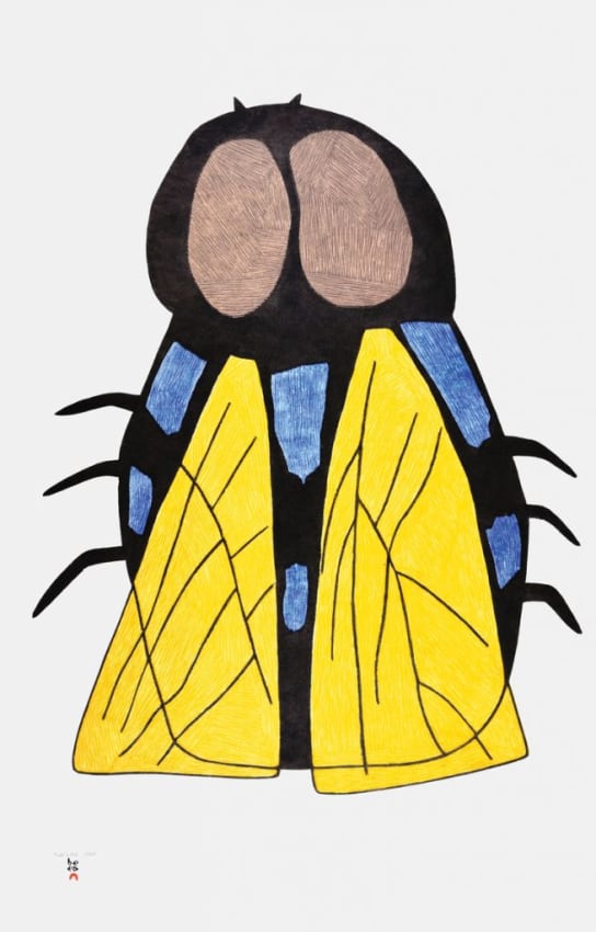 Qaumajuq (Fly)