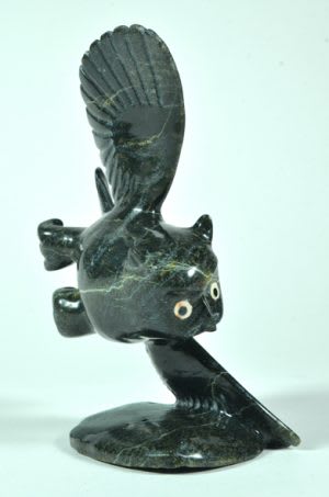 Flying Owl