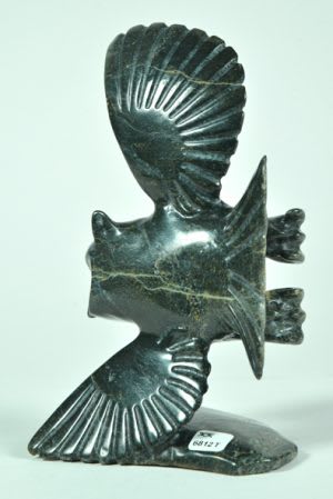Flying Owl
