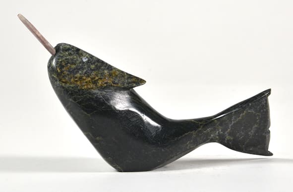 Narwhal