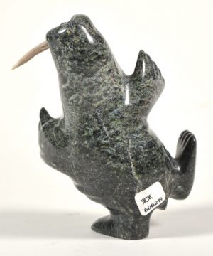 Walrus