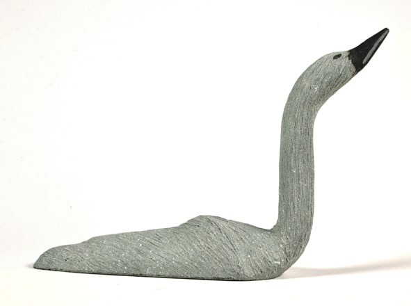 Loon 24