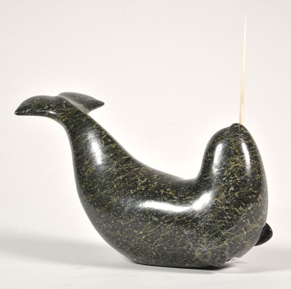 Narwhal 12