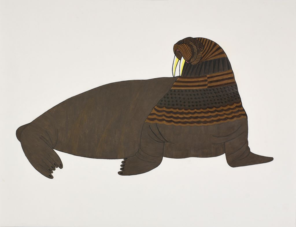 Untitled (Walrus)