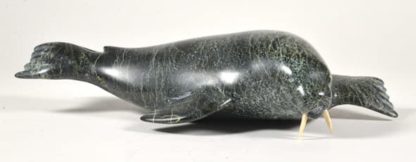 Walrus (6396S)