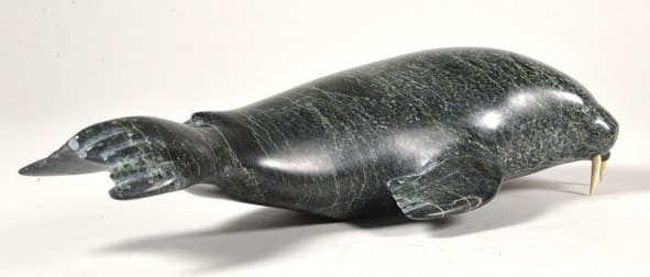 Walrus (6396S)