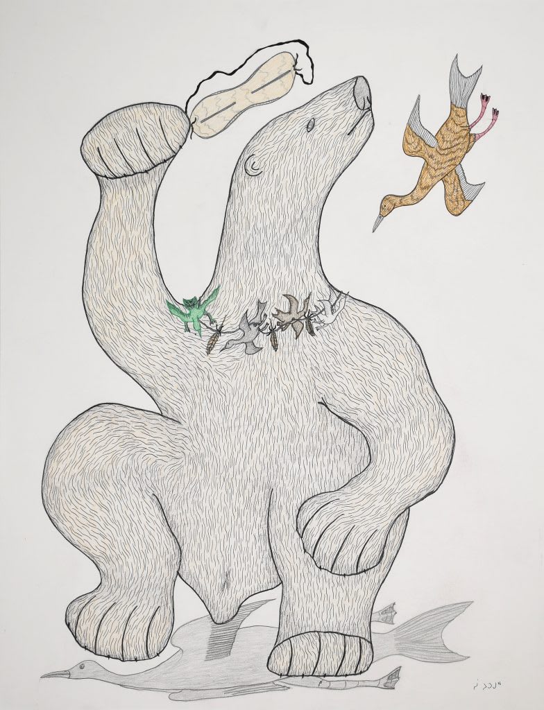 Mitik Finds Nanook