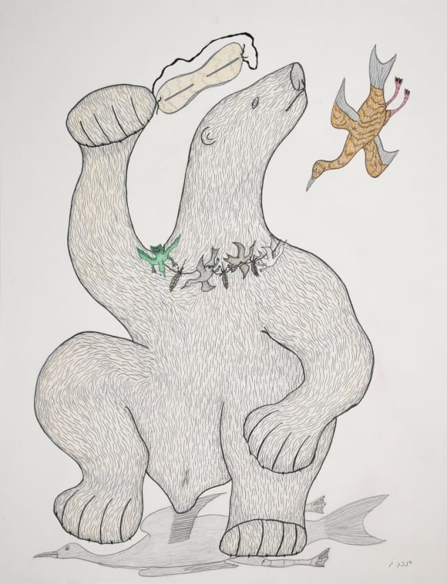 Mitik Finds Nanook