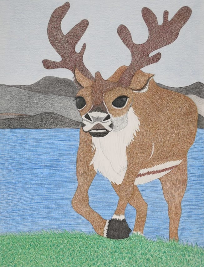 Untitled Drawing (Caribou)