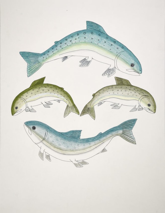 Char Fish