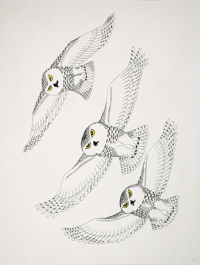 Group of Owls