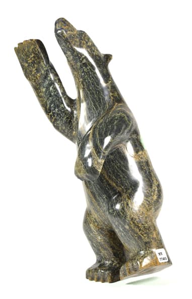 Dancing Bear (7748S)