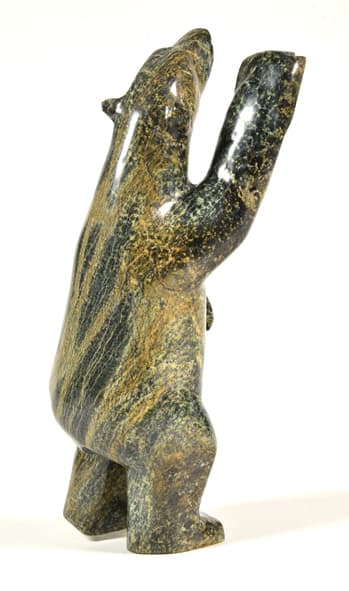 Dancing Bear (7748S)