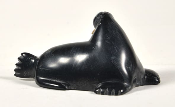 Walrus (6563T)