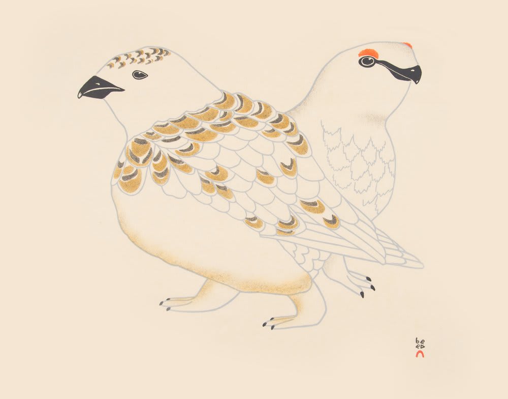 Rock Ptarmigan