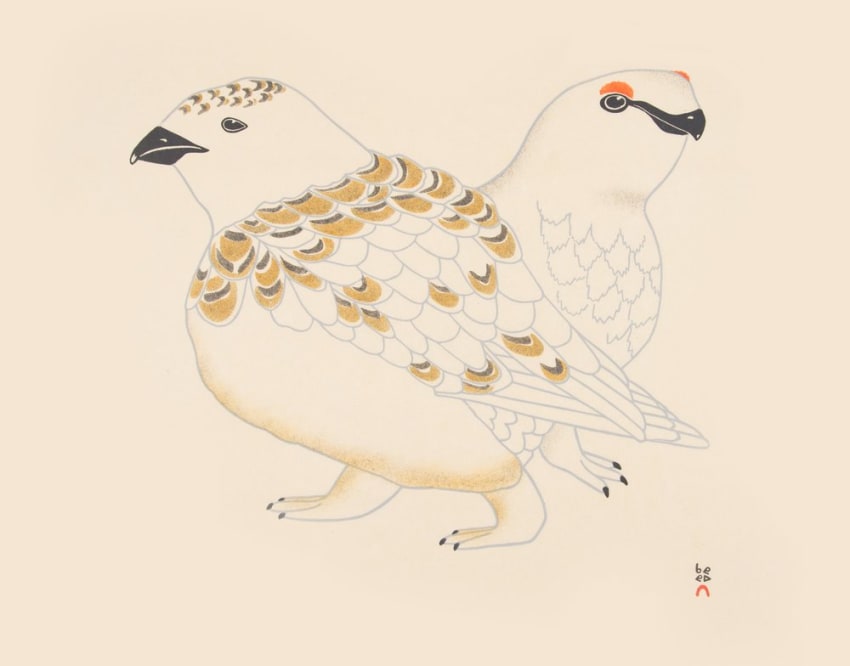 Rock Ptarmigan